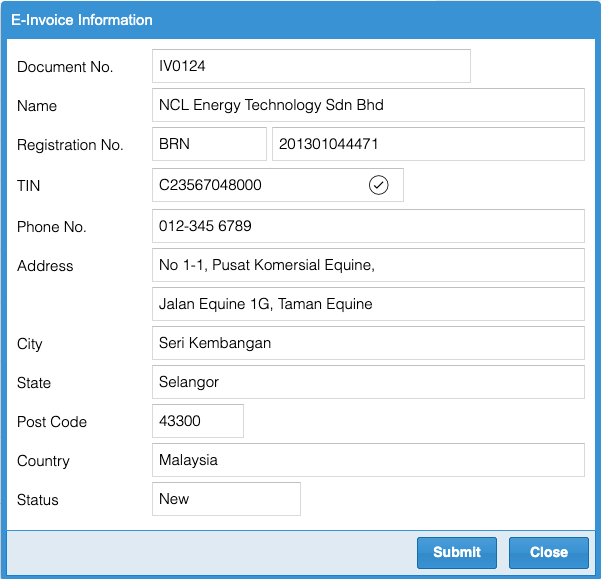 e-invoice information new