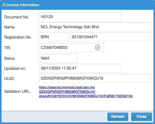 e-invoice information valid