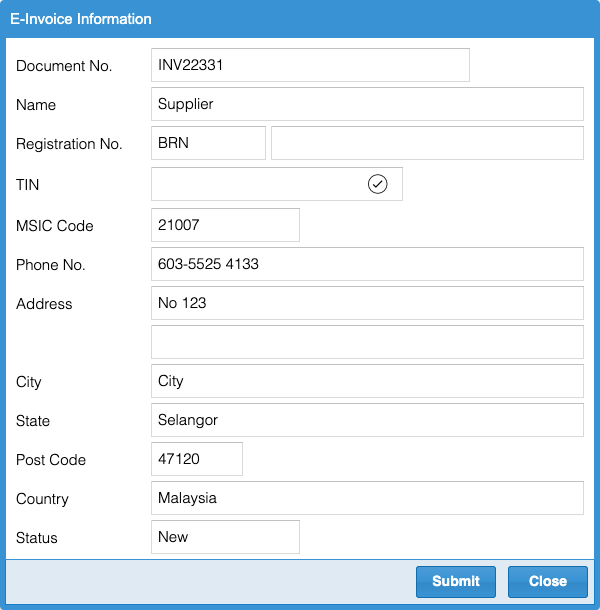 e-invoice information new